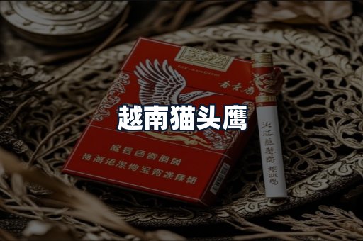 越南猫头鹰